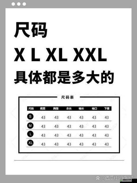 我的上司尺码为 XL 相关话题探讨：职场中的特殊尺寸现象