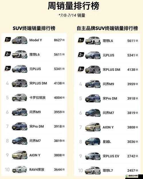 497799 欧洲版的国产 SUV 有什么特点：深度解析其独特魅力